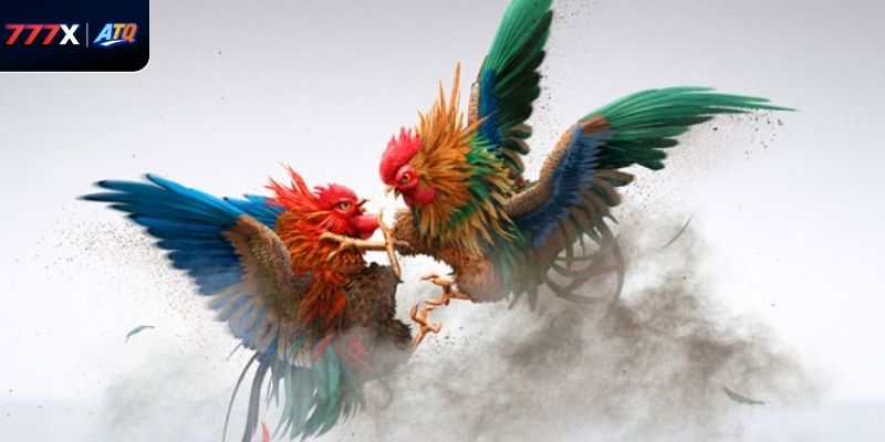 Hiểu rõ điểm nổi bật giúp người chơi áp dụng luật AOG đá gà tại 777x một cách hiệu quả.