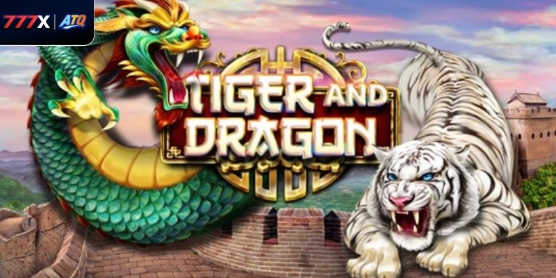 Cách phân tích cầu rồng hổ đơn và kép chuẩn