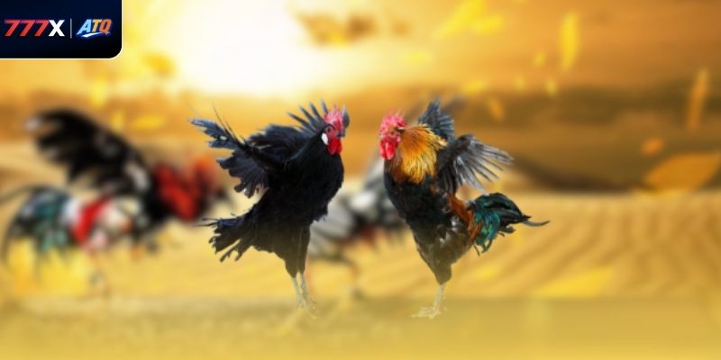 đưa ra quyết định thông minh và tối đa hóa cơ hội thắng.