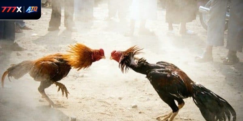 Không nên đặt cược quá khả năng chịu đựng để bảo vệ trải nghiệm.