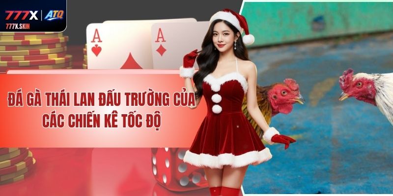 Đá Gà Thái Lan – Đấu Trường Của Các Chiến Kê Tốc Độ