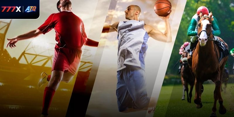 Chỉ tham gia thể thao 777x trên website chính thức để đảm bảo công bằng và an toàn.